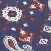 Fashionable Mask - Paisley King