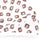 Fashionable Mask - Boxed Out Brown