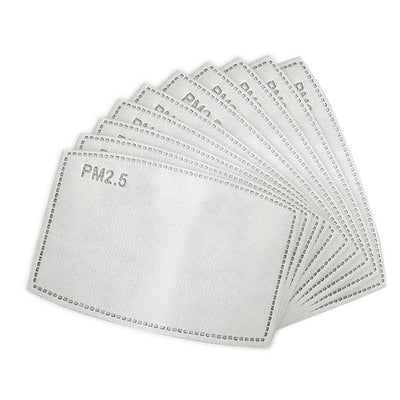 PM 2.5 Mask Filters