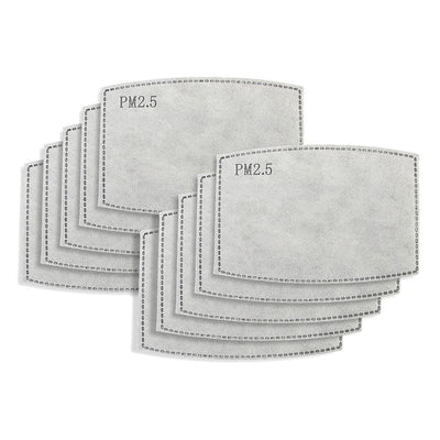 PM 2.5 Mask Filters