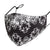 Fashionable Mask - French Wallpaper (Medium)